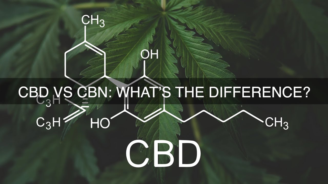 CBD vs CBN: What’s the Difference?